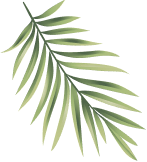 leaf 1
