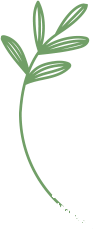 leaf-1_03