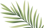 leaf 2