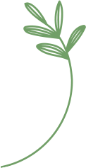 leaf-2_03