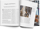 serene_lead_generation_book_small